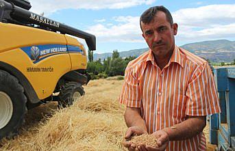 Pazar ilçesinde buğday hasadı sürüyor