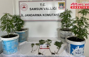 Salıpazarı'nda uyuşturucu operasyonunda 1 zanlı yakalandı