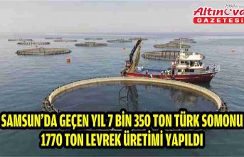 Samsun'da geçen yıl 7 bin 350 ton Türk somonu, 1770 ton levrek üretimi yapıldı