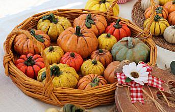 Samsun'da “Kadın Emeği Festivali“ düzenlendi