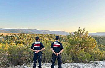 Saraydüzü'nde jandarmadan orman denetimi