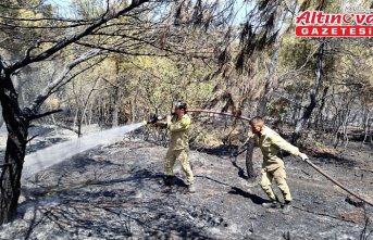 Sinop'ta orman yangınında 8 dönüm alan zarar gördü