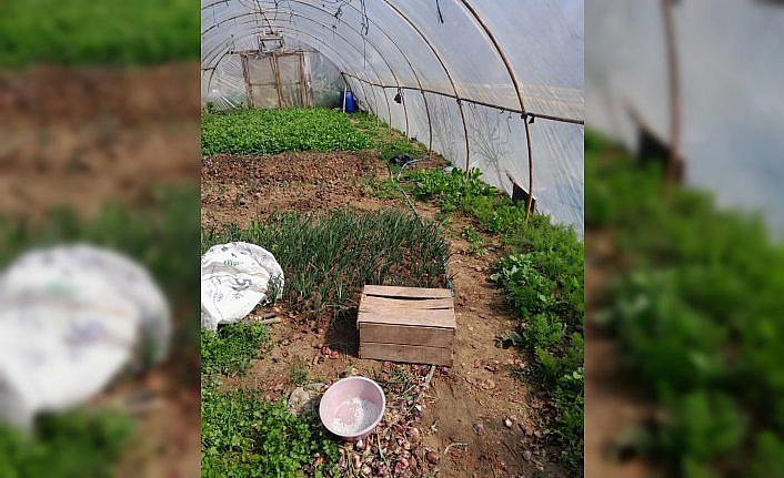 Sinop'ta kaçak su kullanan kişilere para cezası verildi