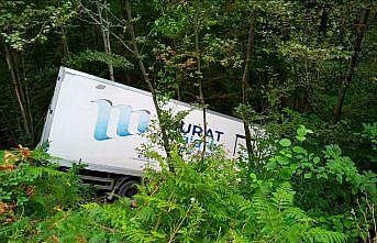 Sinop'ta ormanlık alana devrilen kargo aracının sürücüsü yaralandı