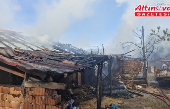 Tokat'ta çıkan yangında 7 büyükbaş hayvan öldü