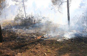 Tokat'ta çıkan orman yangını kontrol altına alındı