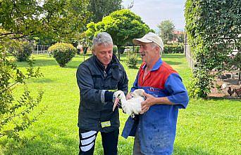 Tokat'ta yaralı leylek itfaiye ekiplerince kurtarıldı
