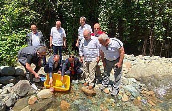 Trabzon'da 10 bin alabalık yavrusu Küçükdere Vadisi'ne bırakıldı