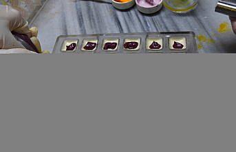 Trabzon'da koruma ve bakım altındaki kız çocukları çikolata yapımını öğreniyor
