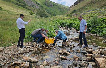 Trabzon'daki Karadere Vadisi'ne 15 bin alabalık yavrusu bırakıldı