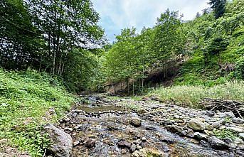 Trabzon'daki Kazan Gölü Kanyonu turizme kazandırılacak