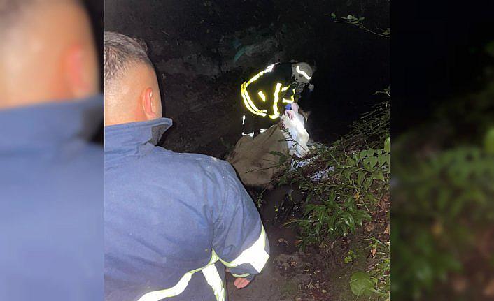 Türkeli'de dereye düşen inek kurtarıldı