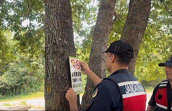 Türkeli'de jandarma ekiplerince ormanlık alanda denetim yapıldı