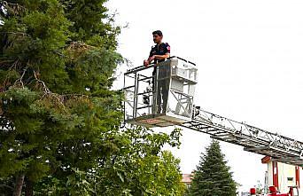 Amasya'da ağaçta mahsur kalan kediyi itfaiye ekipleri kurtardı