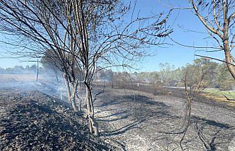Bartın'da çıkan anız yangını ağaçlık alana sıçradı