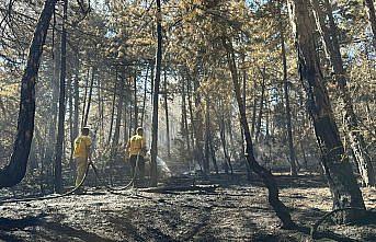 Bolu'da çıkan orman yangını kısmen kontrol altına alındı