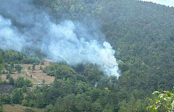 Bolu'da ormanlık alanda çıkan yangına müdahale ediliyor