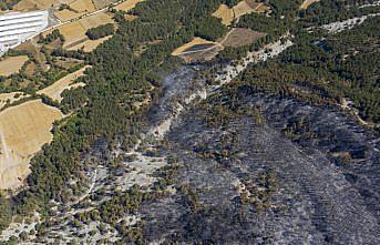 Bolu'daki orman yangınına ilişkin 1 zanlı tutuklandı