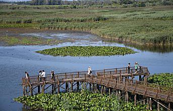 Efteni Gölü Kuş Cenneti hafta sonu doğa tutkunlarını ağırladı