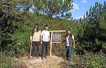 Göynük'te ormanları korumak için biyolojik mücadele başlatıldı