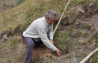 Gümüşhane'deki köyünü 40 yılda 50 bini aşkın fidanla buluşturdu