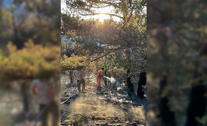 Gümüşhane'deki orman yangını söndürüldü