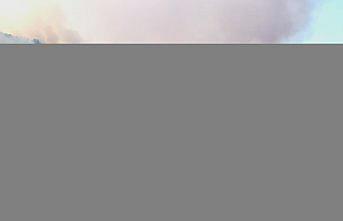 GÜNCELLEME 2 - Karabük'te ormanlık alanda yeniden yangın çıktı