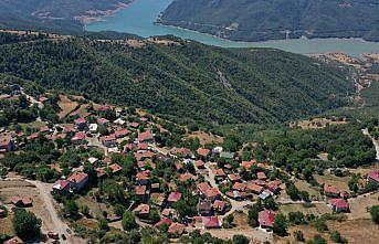 Sinop'taki orman yangını kontrol altına alındı