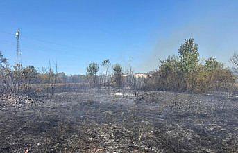 GÜNCELLEME - Bartın'da tarlada çıkıp ağaçlık alana sıçrayan yangın kontrol altına alındı