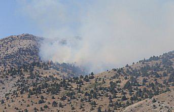 Kahramanmaraş’ta çıkan orman yangınına müdahale sürüyor