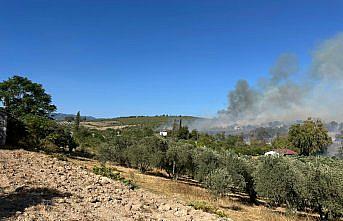 Osmaniye'de tarladan zeytinliğe sıçrayan yangına müdahale ediliyor