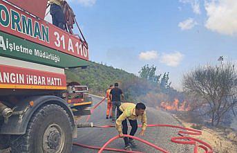 Hatay Yayladağı'nda çıkan orman yangını kontrol altına alındı