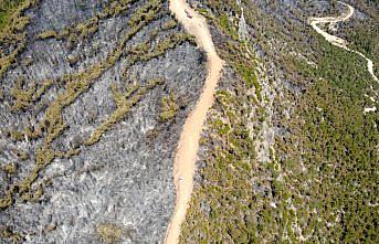 Karabük'te yanan ormanlık alan havadan görüntülendi