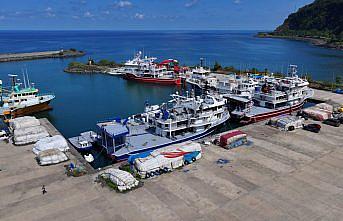 Karadenizli balıkçılar yeni sezonda hamsiden umutlu