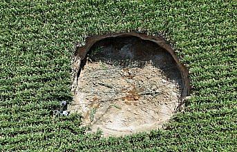 Karaman'da mısır tarlasında obruk oluştu