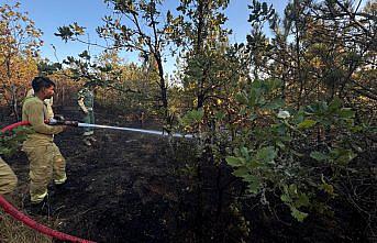 Kastamonu'da çıkan orman yangını söndürüldü