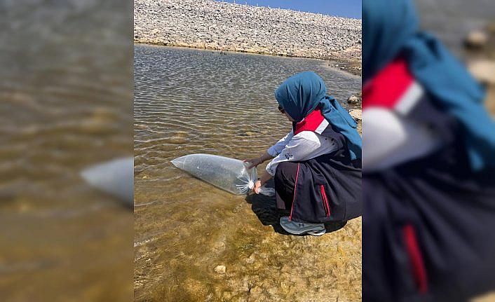 Ladik ilçesinde Ladik Gölü ve göletlere balık salımı yapıldı