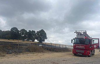 Ladik'te anız yangını ağaçlara sıçramadan söndürüldü