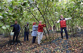 Ordu'da 148 fındık üreticisine hasat filesi desteği sağlandı