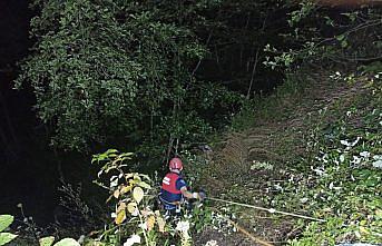 Ordu'da uçuruma yuvarlanan tarım aracının sürücüsü öldü, babası yaralandı