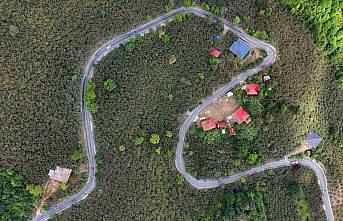 Ordu'da yol çalışması