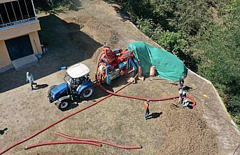 Patozcu baba kız, fındık hasadı döneminde yoğun mesaide