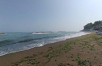 Sakarya ve Düzce'de denize girmek yasaklandı