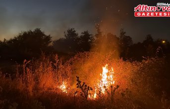 Alaçam'da çıkan örtü yangını söndürüldü