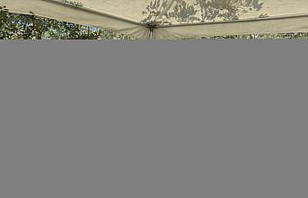 Samsun'da 3. Dürtmen Yaylası Çilek Festivali