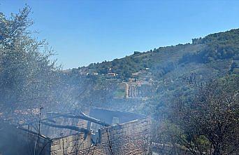 Bafra'da fındık bahçesinde çıkan yangın ormana sıçramadan söndürüldü