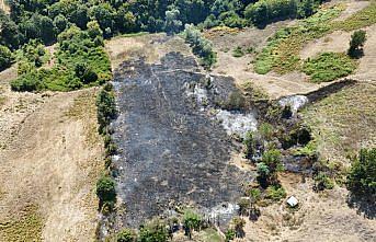 Samsun'da tarlada çıkan örtü yangını itfaiye ekiplerince söndürüldü