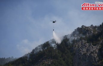 Sinop'ta çıkan orman yangınına müdahale ediliyor