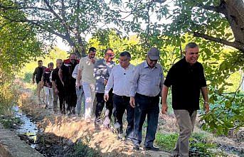 Sinop'ta coğrafi işaretli Boyabat Gazidere domatesinin hasadı başladı