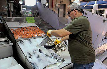Sinop'ta sezonun ilk torikleri tezgahlarda yerini aldı